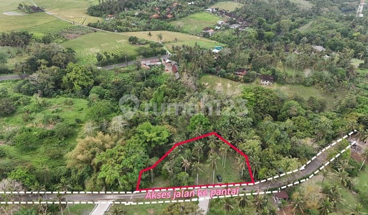 Land for Sale Near the Beach in Tabanan, Bali
