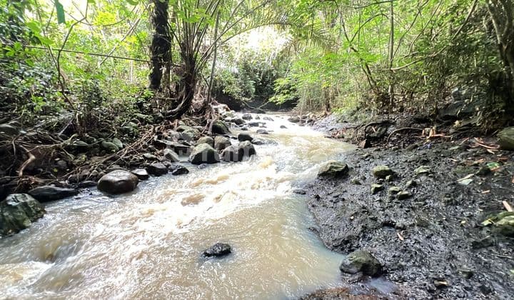 Jusl Tanah Kebun Los Sungai Dekat Pantai di Tabanan Bali