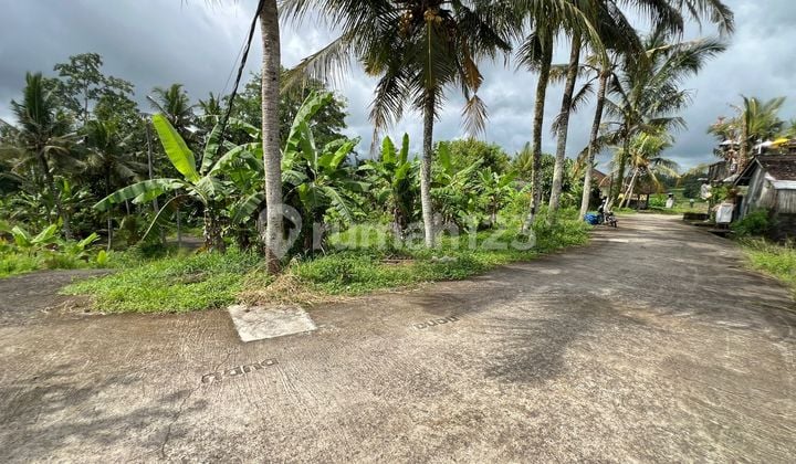 Dijual Tanah View Sawah Terasering dan Laut di Tabanan Bali