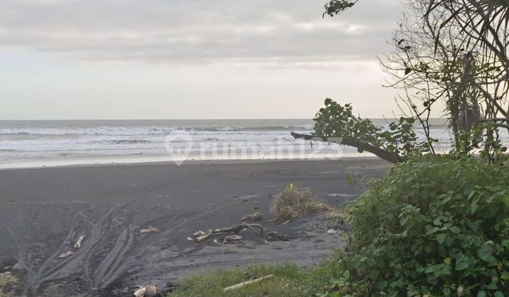 Tanah los pantai murah di tabanan bali.
