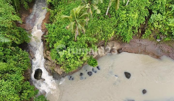 Jual Tanah Los Sungai Besar Suasa Asri Alam Pedesaan Harga Murah Di Tabanan Bali Contour Datar Landai