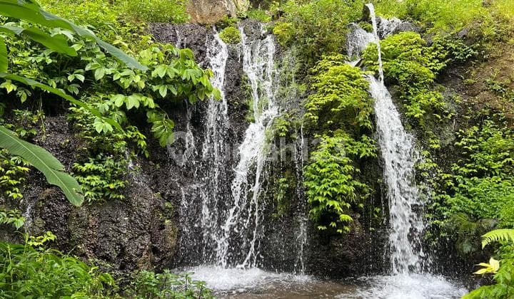 Selling Spring Location In Tababana Bali