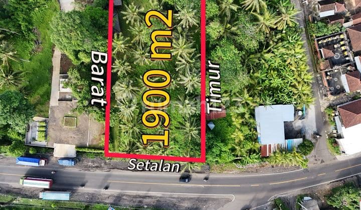 Jual Tanah Luasan Ideal Di Pinggir Jalan Antar Pronpisi Di Desa Bantas Selemadeg Timur Tabanan Bali.