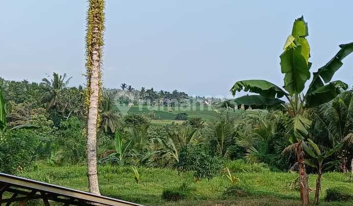 Jual Tanah Luasan Kecil View Sawah Los Sungai Di Tabanan Bali