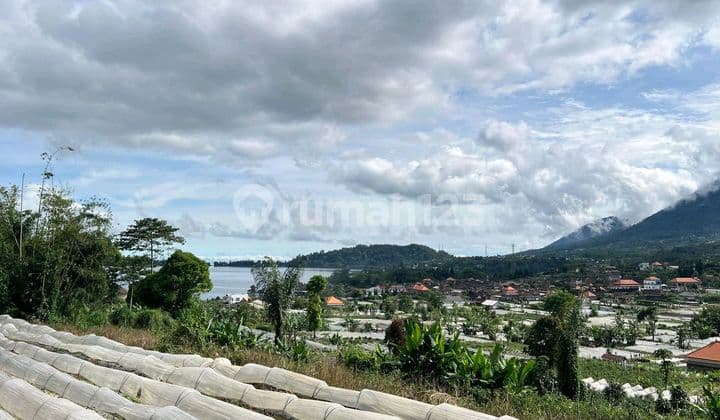 Jual Tanah Kebun View Danau Di Tabanan Bali
