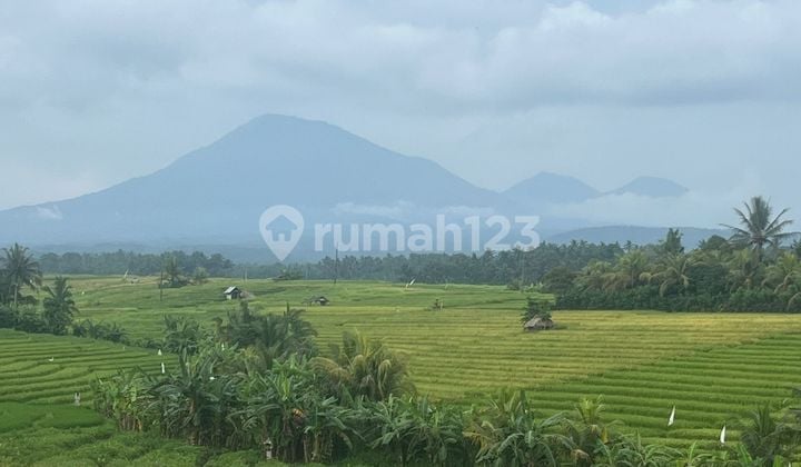 Jual Tanah Kebun Dan Sawah Di Tabanan Bali.