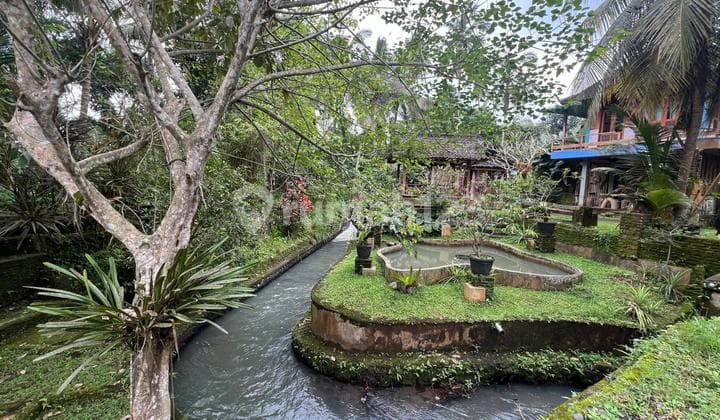 For Sale: Cheap Land and House in Tabanan, Bali