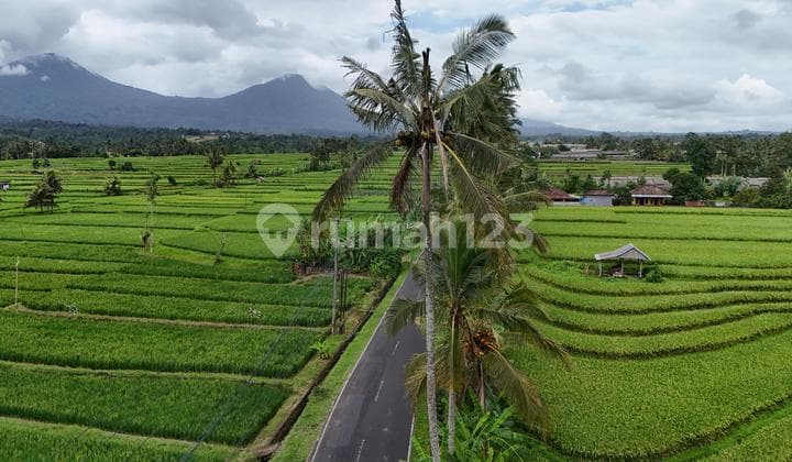 Jual Tanah Luasan Kecil View Sawah Cantik di Tabanan Bali