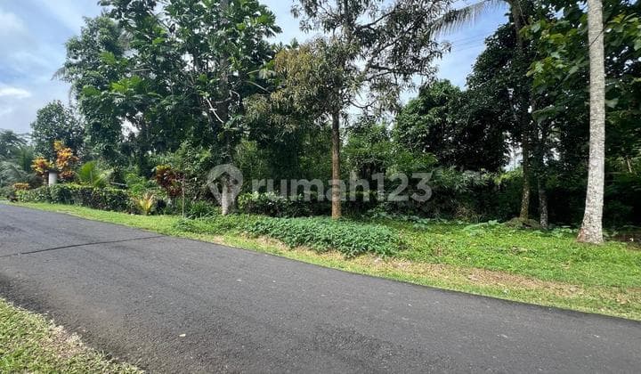 Jual Tanah Luas Kecil Harga 250 Juta Global Di Tabanan Bali.