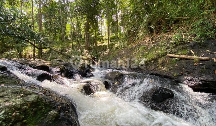 Jual Tanah Luas Kecil Los Sungaidi Tabananbali