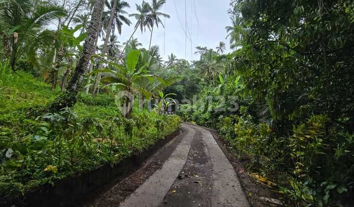Dijual Tanah Kebun Durian dan Aneka Buah Lainnya di Tabanan Bali