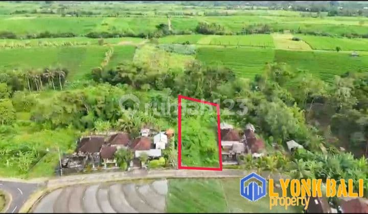 Dijual Tanah View Sawah Los Sungai Tabanan Bali