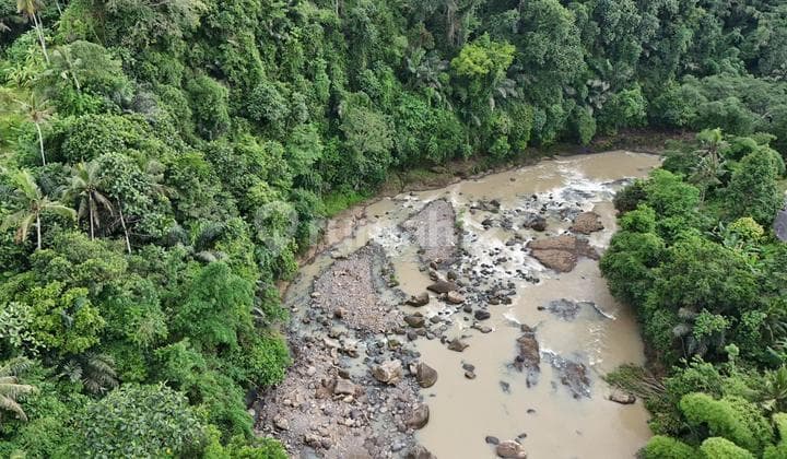 Jual Tanah Los Sungai Luasan Kecil Dekaf Dengan Kota Tabanan,bali