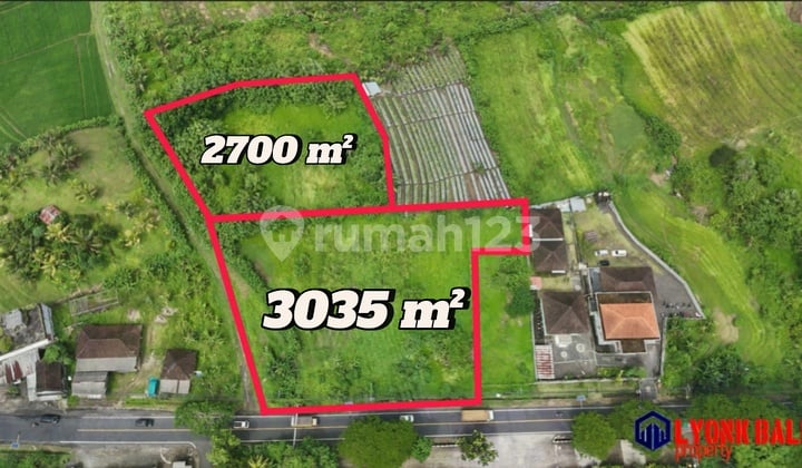 Selling Land on the Main Roadside with Rice Field and Mountain View in Tabanan, Bali