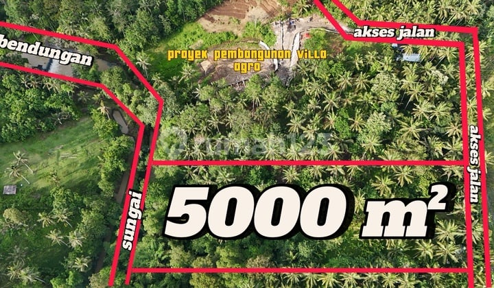 Jual Tanah View Sawah Gunung Los Sungai Di Tabanan Bali