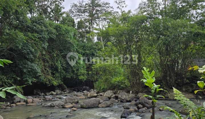 Dijual Kebun Murah di Tabanan Bali