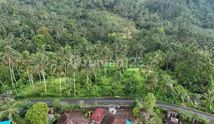 Tanah View Gunung Lembah dan Laut di Tabanan Bali