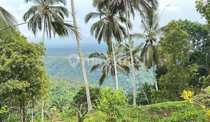 Dijual Tanah View Bali yang Indah Menyejukan Mata di Tabanan Bali
