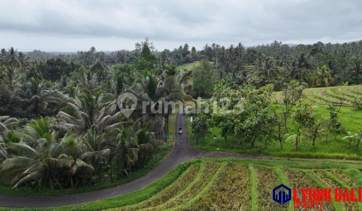 Juat Tanah Sawah dan Kebun di Pinggir Jalan Hotmik Kabupaten,Di Tabanan Bali