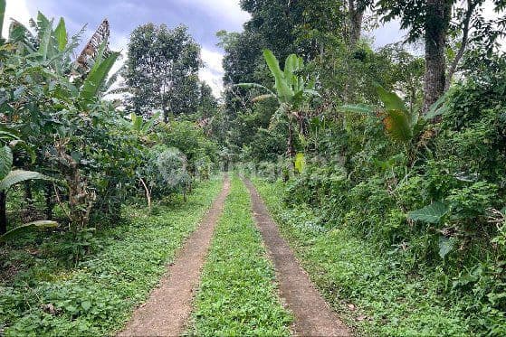 Jual Tanah Dekat Pegunungan Sejuk Di Tabanan Bali