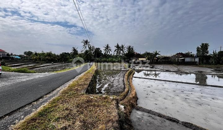 Jual Tanah Luasan Kecil Dekat Pantai Di Tabanan Bali