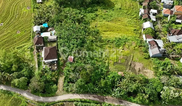 Jual Tanah View Sawah Gunung Laut Dan Kota Denpasar Dekat Kota Tabanan