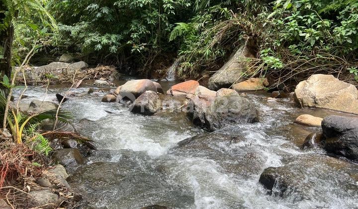 Dijualtanah Los Sungai Berbatu View Sawah Tabanan Bali