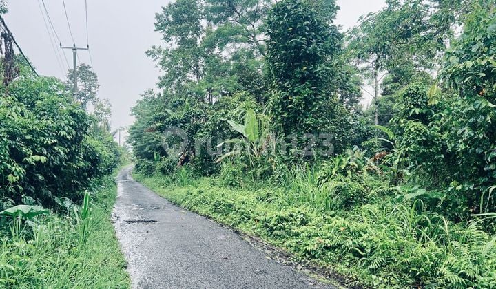 Jual Tanah Luasan Kecil Dekat Dengan Aurora Cabins Di Tabanan Bali.