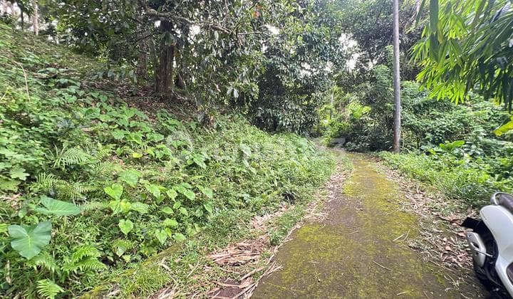 Dijual Tanah Kebun Tabanan Bali