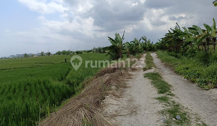 Tdi Jual Tanah Dekat Pantai Pasut Tabanan Bali.