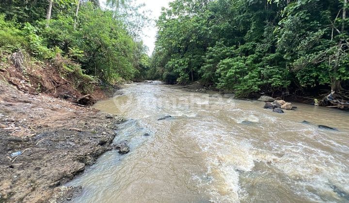 Jual Tanah Kebun View Sungai Dekat Kota Tabanan Bali
