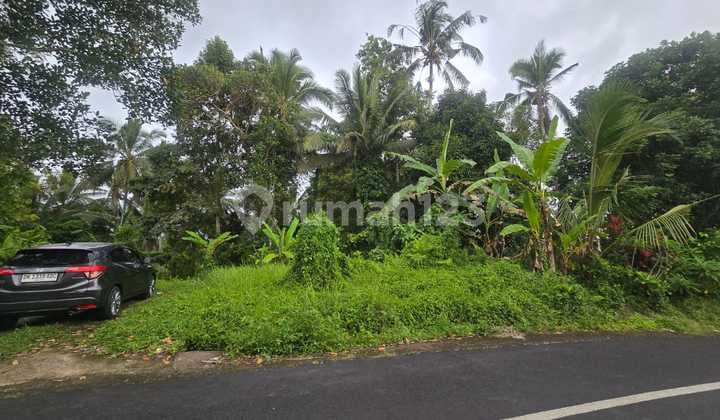 Dijual Tanah Kebun View Junggle Dekat Villa Tabanan Bali