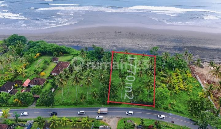 Jual Tanah Los Pantai Luas Kecil Di Bali.
