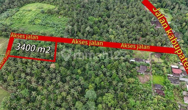 Jual Tanah Kebun Harga Muran View Sawah Di Tabanan Bali.