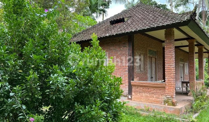Jual Tanah Dan Bangunan Semi Villa Murah Di Tabanan Bali.