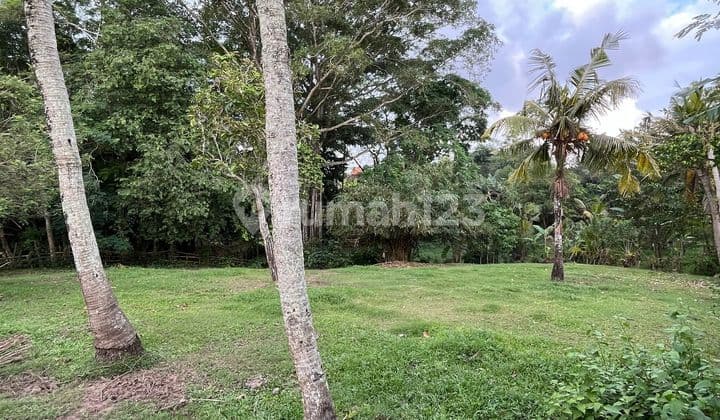 Land, Near Beach, Yellow Zone