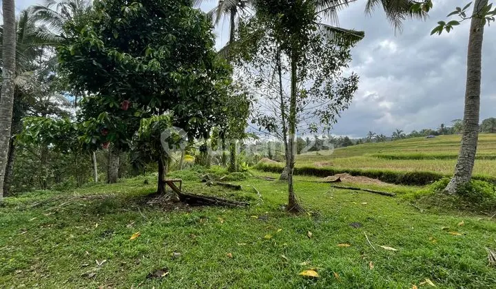 Land, Cheap Garden