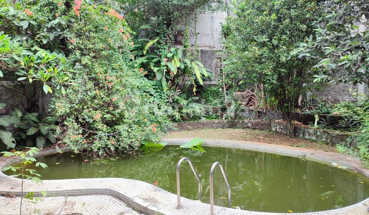 Harga di Bawah NJOP, Luas Tanah 792 M2, Ada Kolam Renang, Rumah di Kemang, Jakarta Selatan
