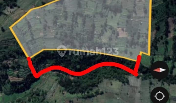 Jual Tanah Kebun di Garut 7 Hektar Cocok.untuk Kopi