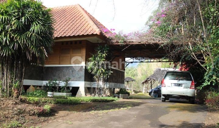 Dijual Villa Strategis Di Daerah Garut Di Kaki Gunung Papandayan Berikut Perkebunan Luas Area +/- 1 Hektar