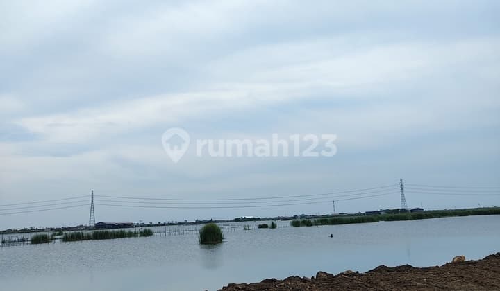 Tanah Tambak Buat Invest Atau Pabrik Di Demak