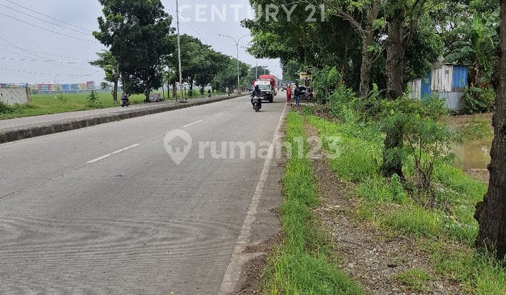 Lahan Sawah di Jalan Baru Karawang Ideal untuk Gudang & Industri