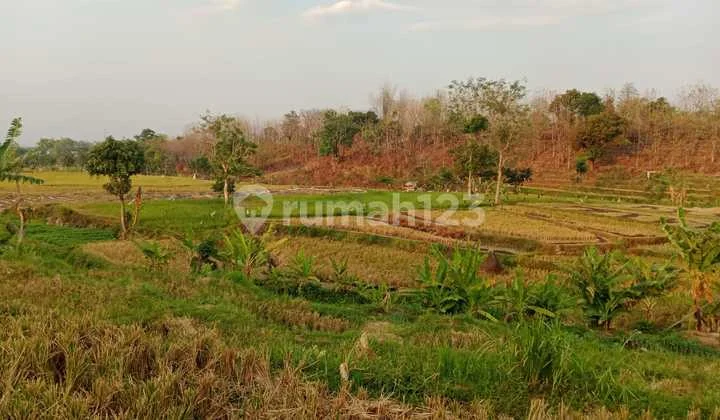 Tanah di Sumberkembar, Pacet Mojokerto SHM Tanah di Sumberkembar, Pacet Mojokerto SHM