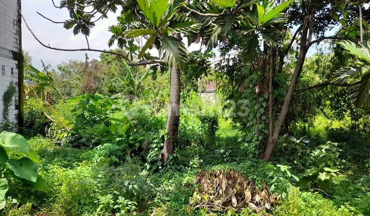 Tanah Permukiman di Dapurkejambon, Jombang