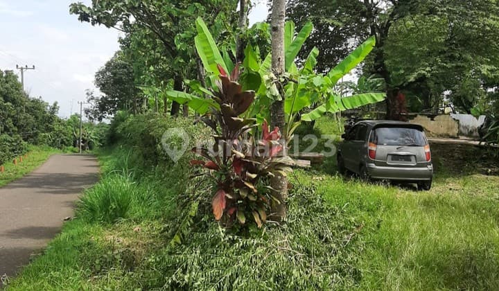 Tanah Kebun 2,5 Ha SHM di Wonokerto Wonosalam Jombang