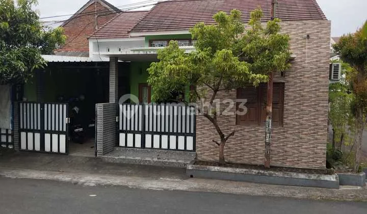 Dijual Rumah Siap Huni 3 Kamar Dekat Kampus Kedokteran Unizar Dijual Rumah Siap Huni 3 Kamar Dekat Kampus Kedokteran Unizar