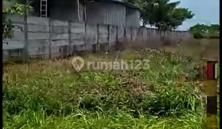Industrial Land in Tuban - Certificate of Ownership