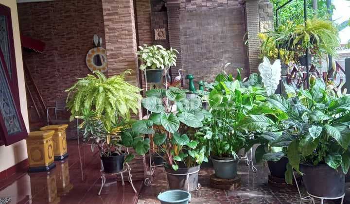 Mandar, Bintaro Jaya Sekt3. Rmh Cozy Siap Huni, 2Lt, Bebas Banjir