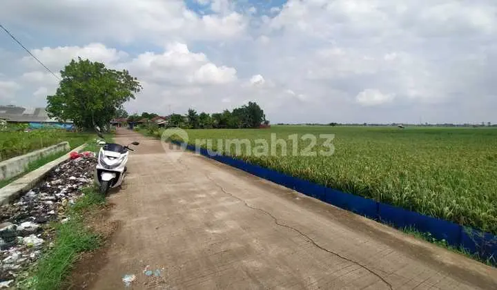 Sawah Murah Pasir Malang Lemah Subur Tempuran Kabupaten Karawang