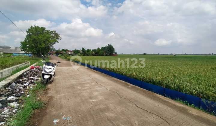 Sawah Murah Pasir Malang Lemah Subur Tempuran Kabupaten Karawang